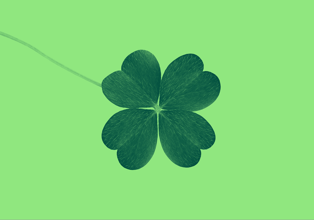 Green four-leaf clover on green background